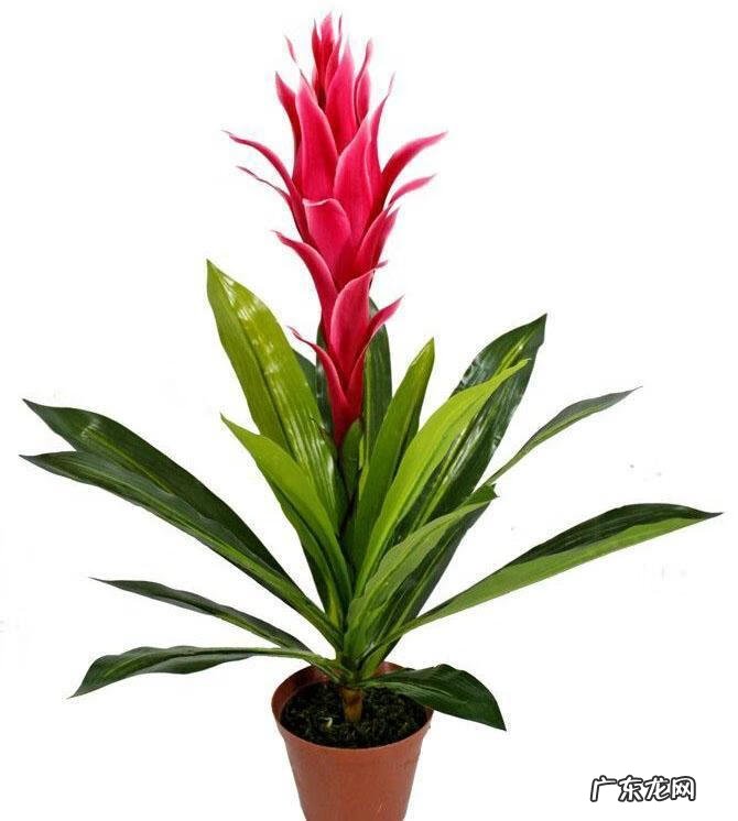 夫妻爱吵架的风水化解 夫妻果蔬店风水