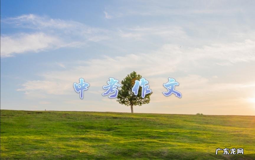 感恩的文章范文大全 关于感恩的作文范文