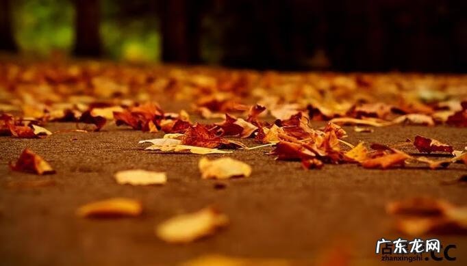 婚后甜宠文 风水灵异甜宠文