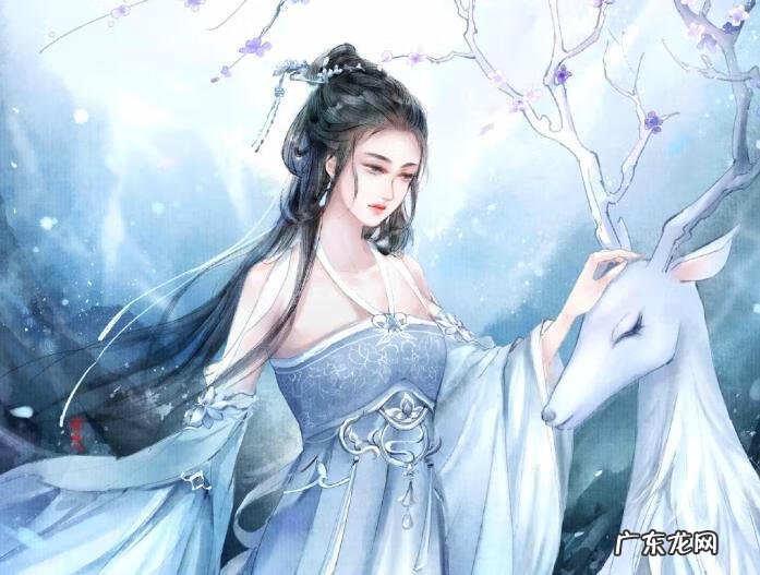 度无极 最无极作者