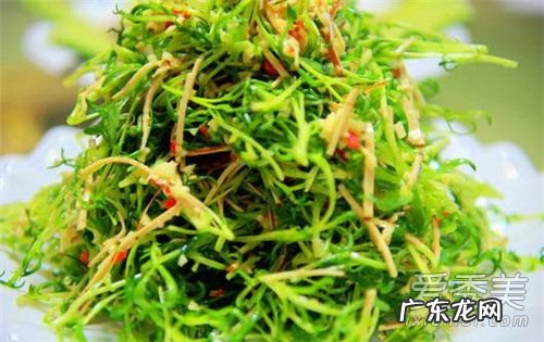 柳蒿芽的功效与作用禁忌 柳蒿芽的作用与功效禁忌