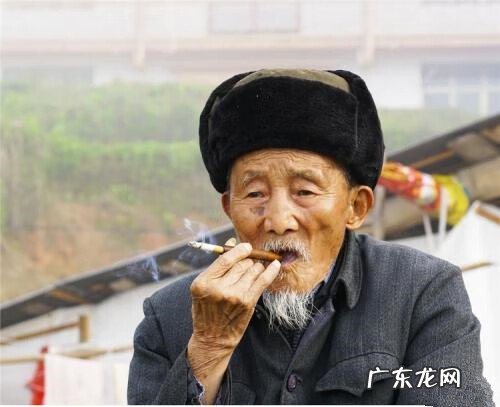 风水有术最新在线阅读 风水养人亦可伤人在线阅读