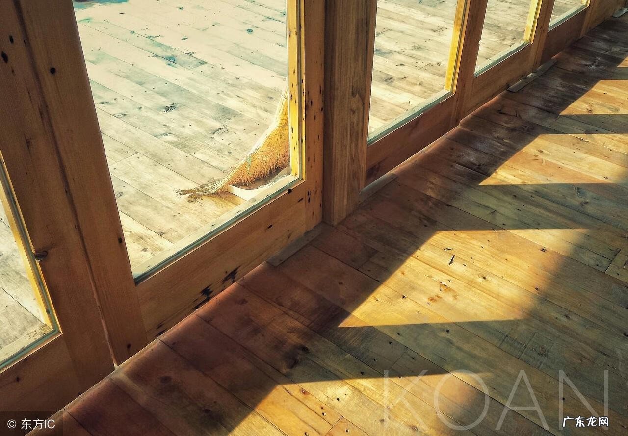 木龙摆件的讲究 木龙摆件的风水寓意