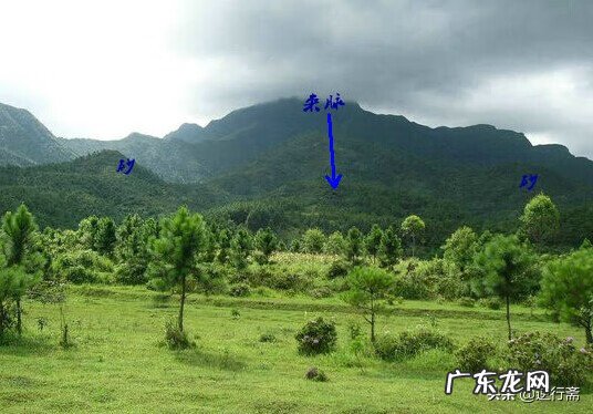 龙形风水宝地特征 平原风水宝地怎么看龙脉