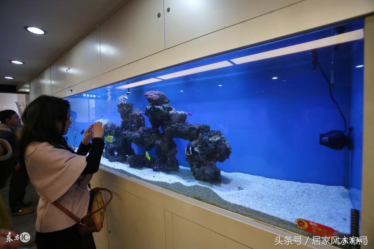 进门正对放鱼缸好不好 进门对着放鱼缸风水好吗