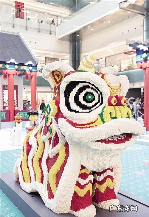 如何去香港 到香港来指什么生肖