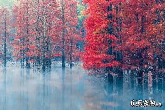 苍白的黑夜 苍白的世界