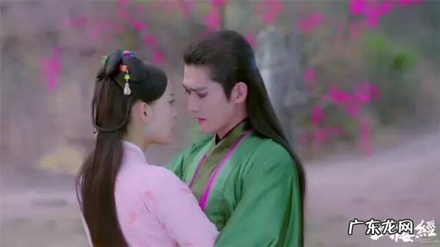 赤影传说小说简介 赤影传说小说