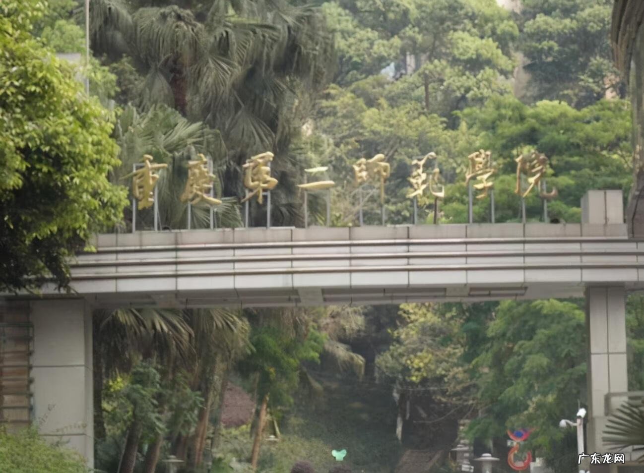 广东第二师范学院为什么叫第二 广东第二师范学院