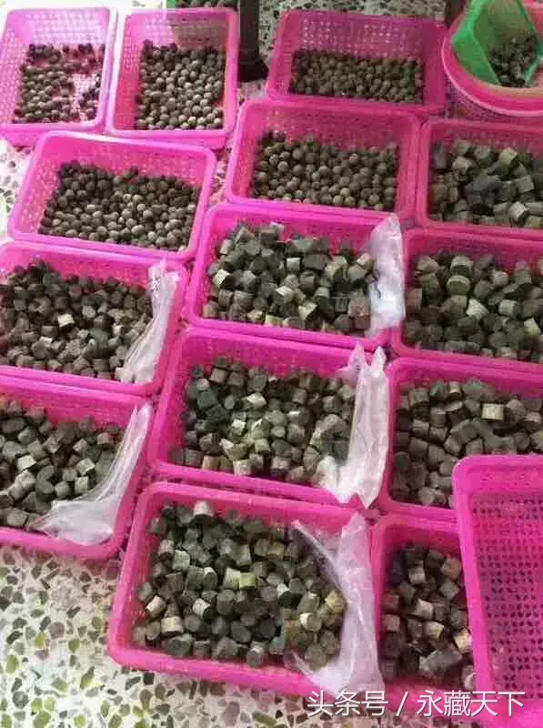 摆放银柳是招财吗 招财红柳图片