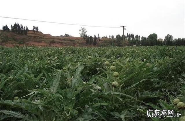 武汉到蕲春 蓟春