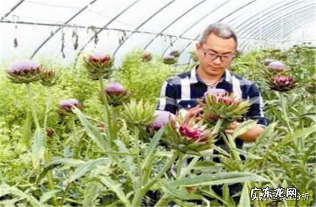 武汉到蕲春 蓟春