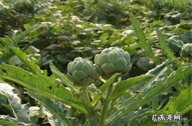 武汉到蕲春 蓟春