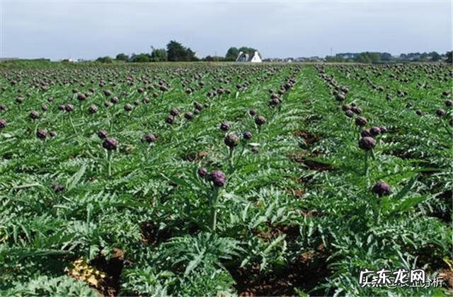 武汉到蕲春 蓟春