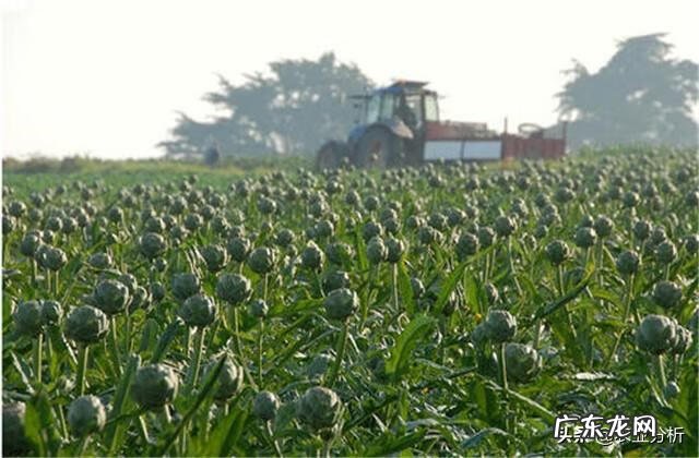 武汉到蕲春 蓟春