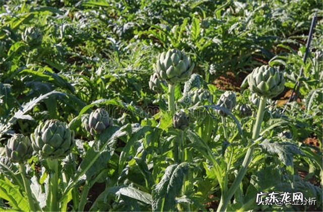 武汉到蕲春 蓟春