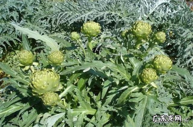 武汉到蕲春 蓟春