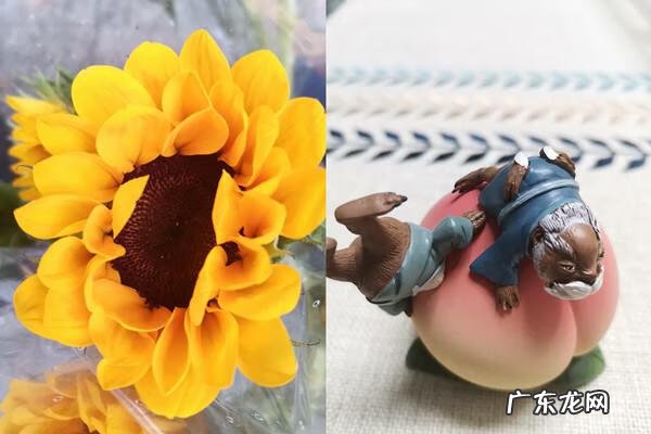 荣耀9x手机价格6+128 华为9x多大屏幕尺寸