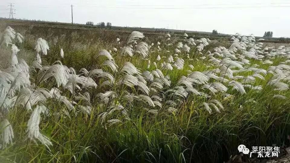 有钱鬼推磨什么意思 风水小鬼推磨