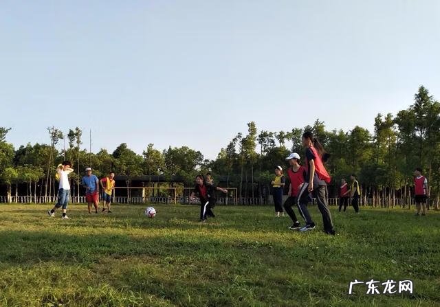 全国夏令营十大排名详情 威雅杭州夏令营