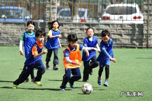 全国夏令营十大排名详情 威雅杭州夏令营