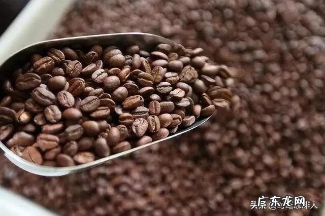 哪里买咖啡豆 买咖啡豆怎么选