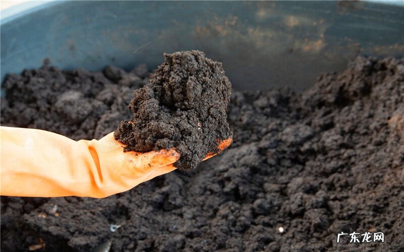 投资少见效快 投资少见效快的行业