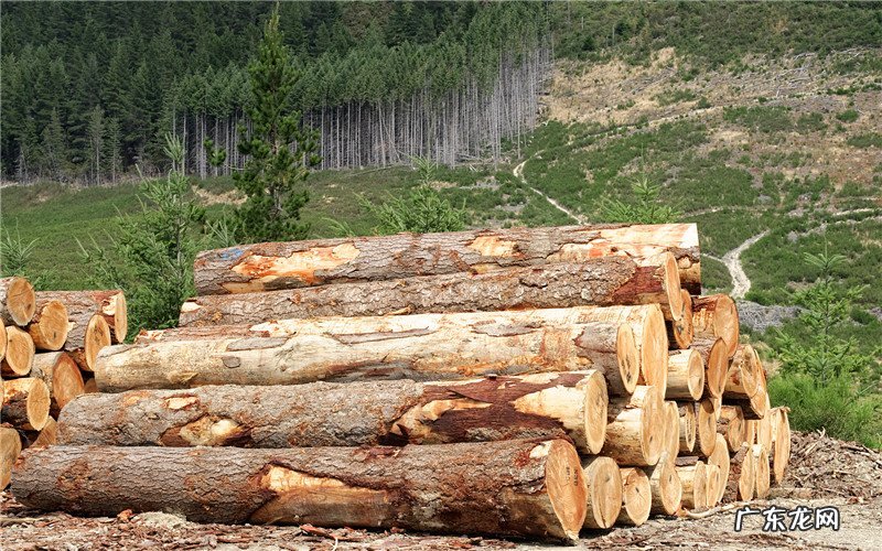 投资少见效快 投资少见效快的行业