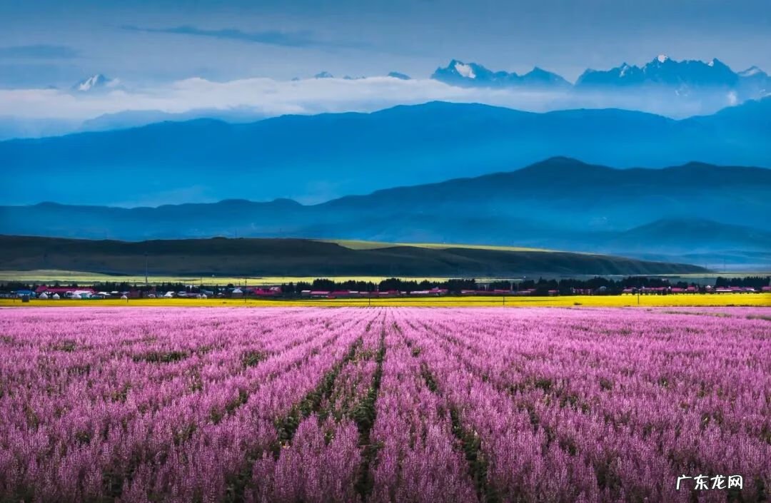 七月适合去的旅游景点 七月份适合去哪个地方旅游