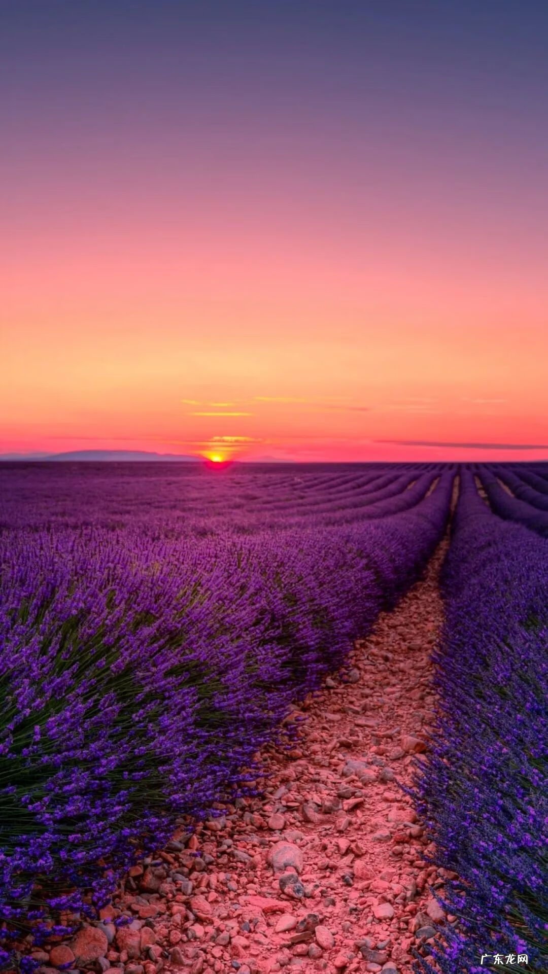 七月适合去的旅游景点 七月份适合去哪个地方旅游