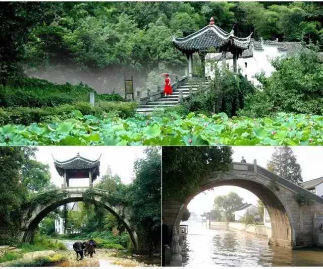 丽水牛头岭 牛头山风水