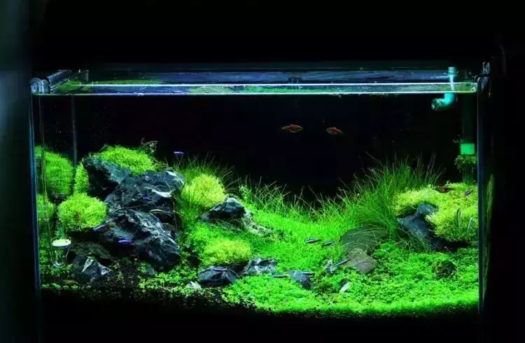 做买卖的风水怎么看 商品定价风水解说图