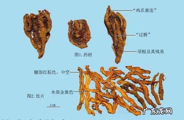 便秘如何根治 怎么治便秘