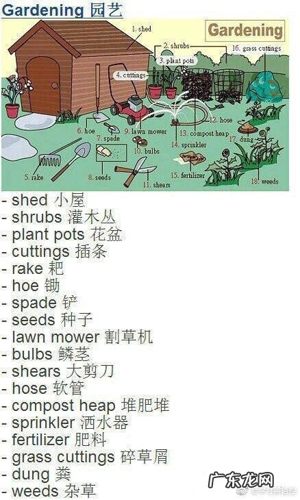 厨房用英语怎么讲 厨房英语怎么说读