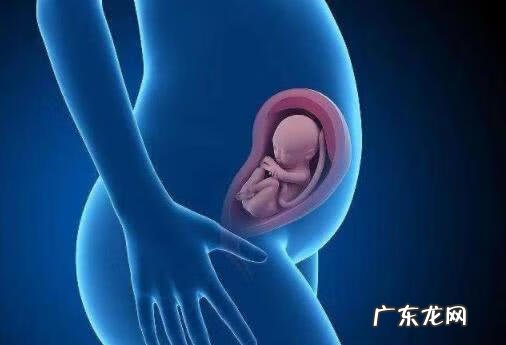 怀孕两个月老害怕胎停 怀孕两个月胎停的征兆