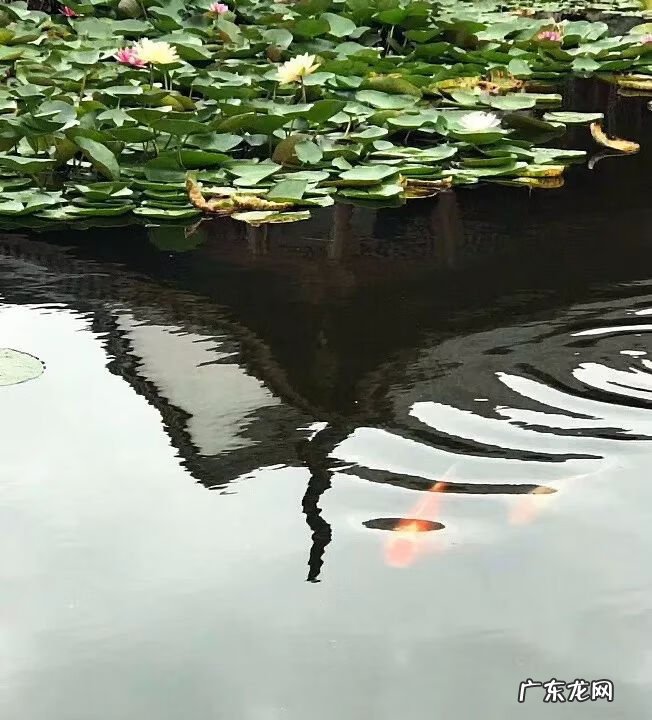 建筑风水学专业 风水学是建筑学