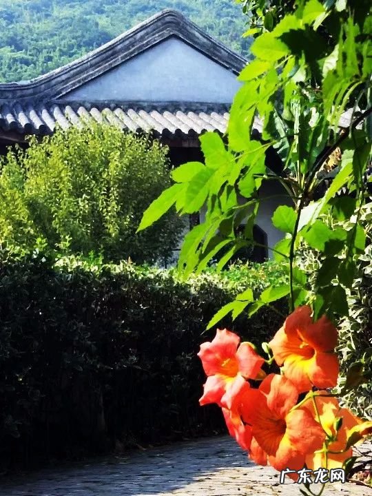 建筑风水学专业 风水学是建筑学