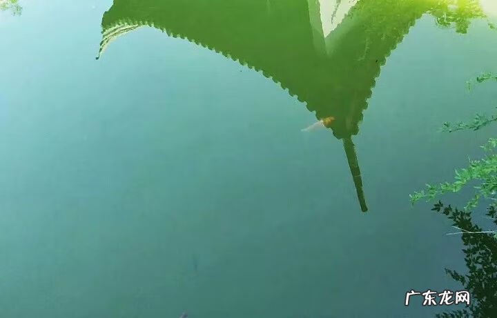 建筑风水学专业 风水学是建筑学