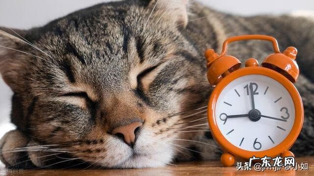 如何内调美白 如何美白脸部最快方法