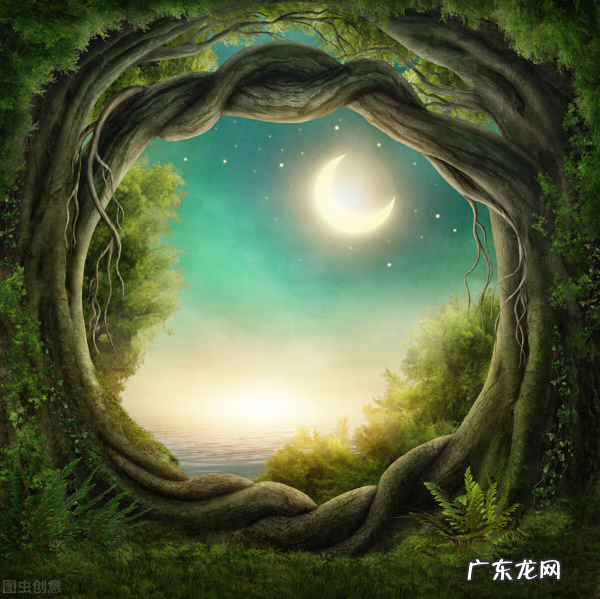 九霄剑尊 九天剑尊剑吟