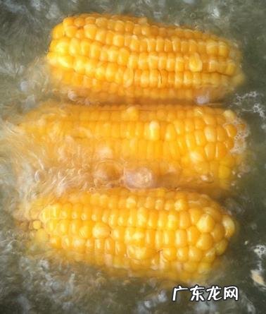 煮玉米要煮多少分钟能熟 玉米一般煮多久好吃一点呢