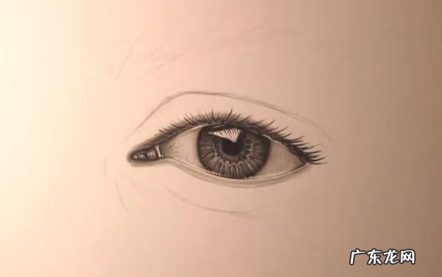 新手怎么画眉毛 眉毛怎么画素描
