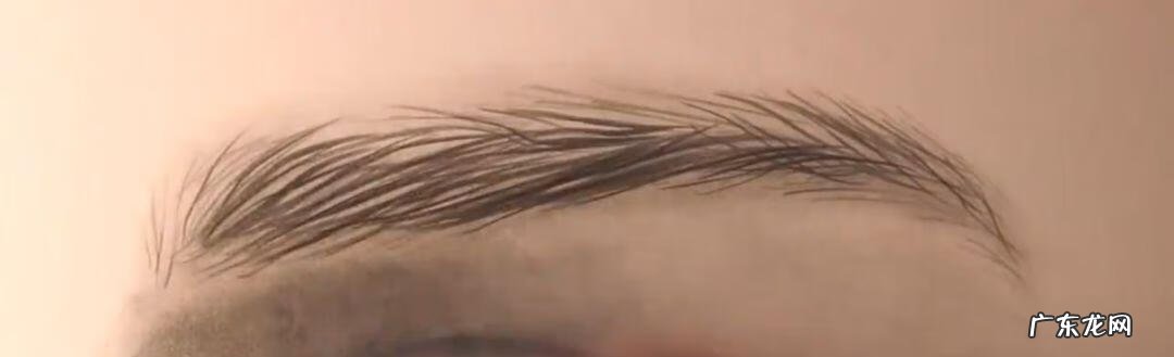 新手怎么画眉毛 眉毛怎么画素描