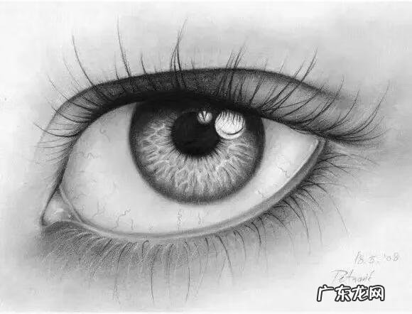 新手怎么画眉毛 眉毛怎么画素描