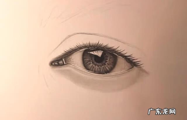 新手怎么画眉毛 眉毛怎么画素描