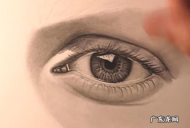新手怎么画眉毛 眉毛怎么画素描
