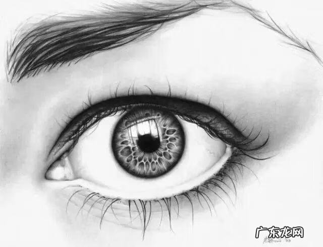 新手怎么画眉毛 眉毛怎么画素描