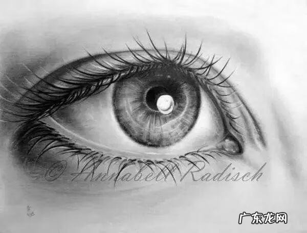 新手怎么画眉毛 眉毛怎么画素描