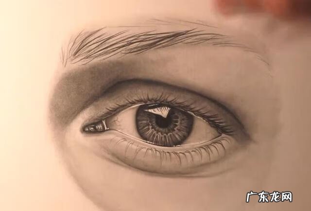 新手怎么画眉毛 眉毛怎么画素描