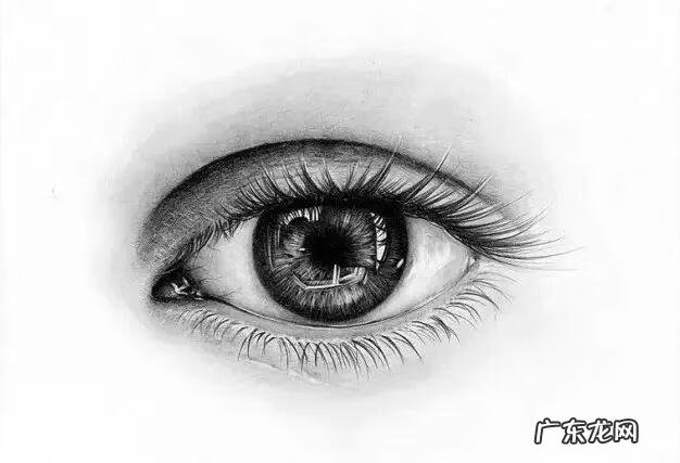 新手怎么画眉毛 眉毛怎么画素描